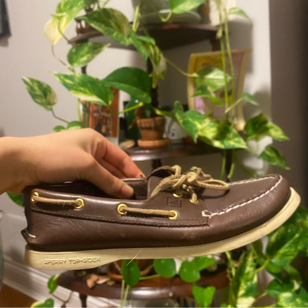 Sperry brown shoes